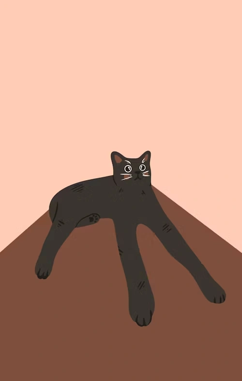 full circle cs inc portfolio image