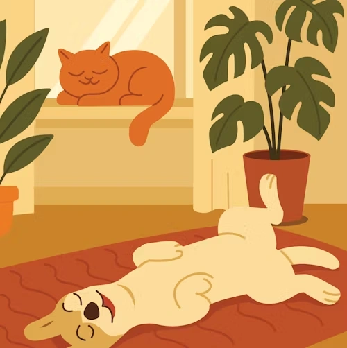 full circle cs inc portfolio image